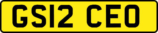 GS12CEO