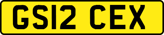 GS12CEX