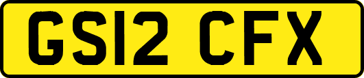GS12CFX