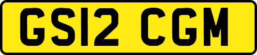 GS12CGM