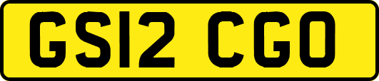 GS12CGO