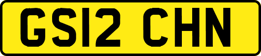 GS12CHN