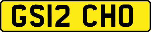 GS12CHO