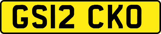 GS12CKO
