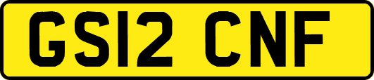 GS12CNF