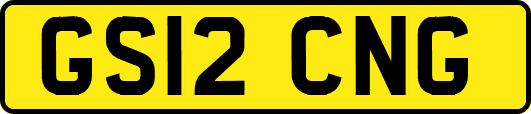 GS12CNG