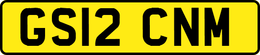 GS12CNM
