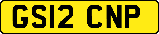 GS12CNP