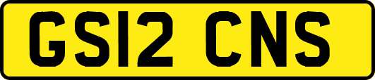 GS12CNS