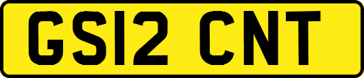 GS12CNT