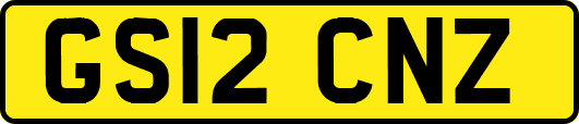 GS12CNZ