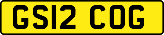 GS12COG