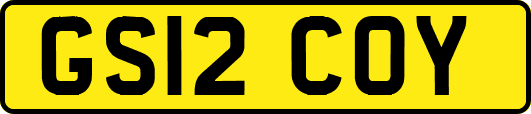 GS12COY