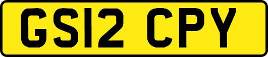 GS12CPY