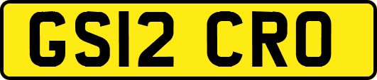 GS12CRO