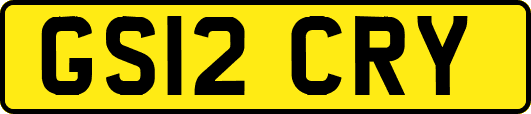 GS12CRY