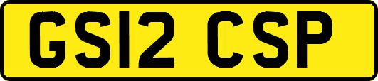 GS12CSP