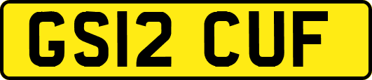 GS12CUF