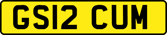 GS12CUM