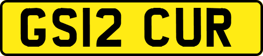 GS12CUR