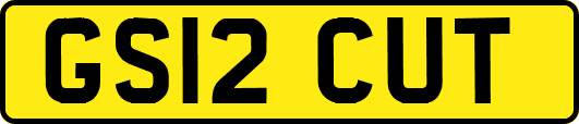 GS12CUT