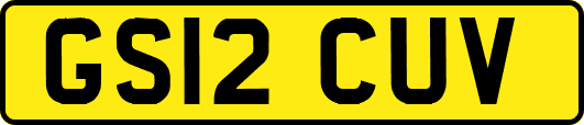 GS12CUV