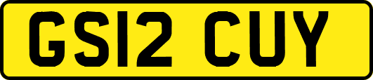 GS12CUY