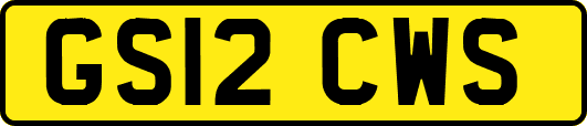 GS12CWS