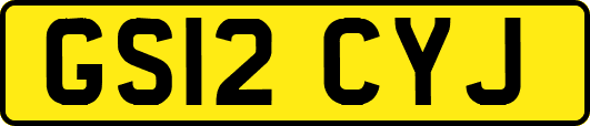 GS12CYJ