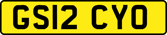 GS12CYO