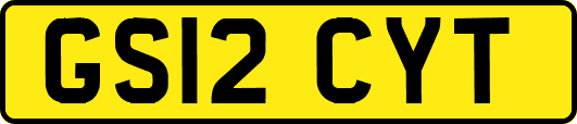 GS12CYT