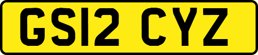GS12CYZ