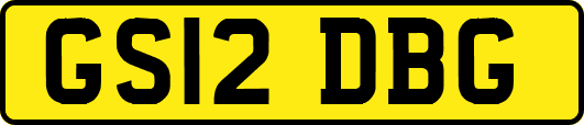 GS12DBG