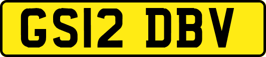 GS12DBV