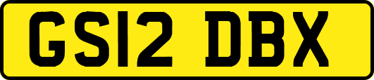 GS12DBX