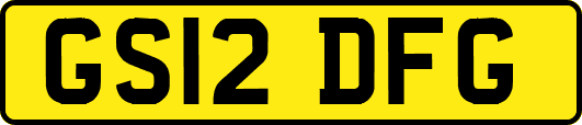 GS12DFG