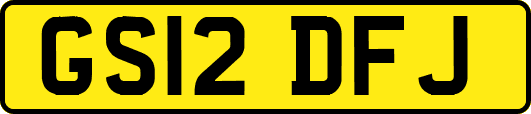 GS12DFJ