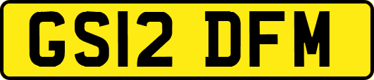 GS12DFM