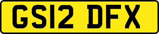 GS12DFX