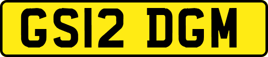 GS12DGM