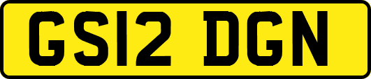 GS12DGN