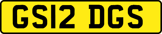 GS12DGS