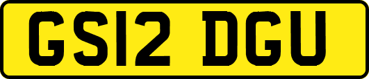 GS12DGU