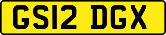 GS12DGX