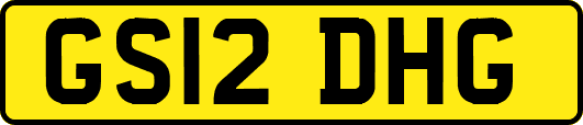 GS12DHG