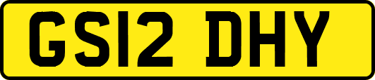 GS12DHY