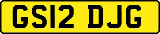 GS12DJG