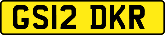 GS12DKR