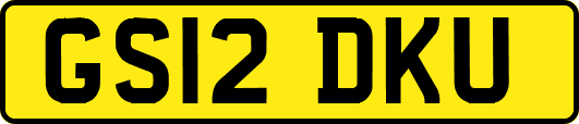 GS12DKU