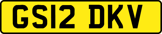 GS12DKV